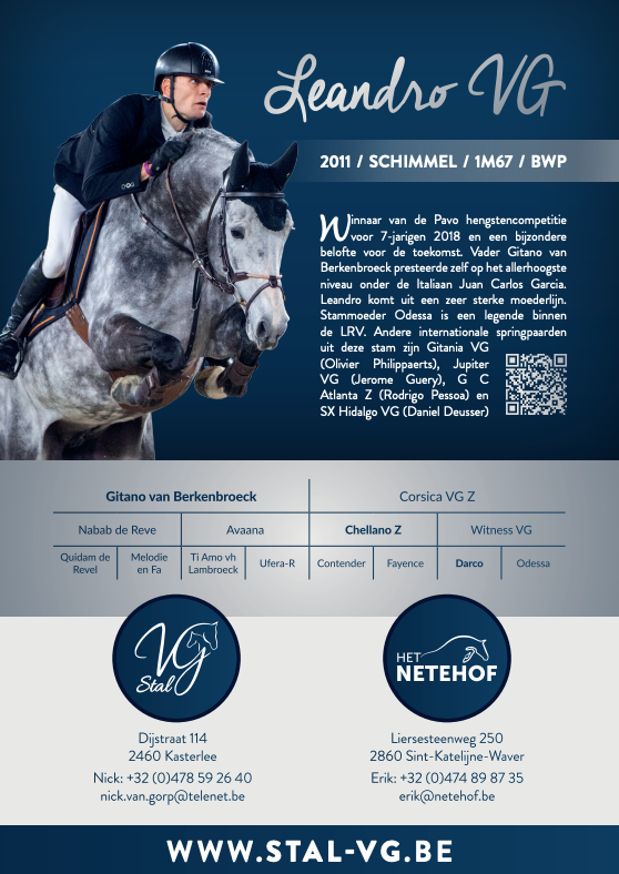 Nieuwe flyer voor Leandro VG